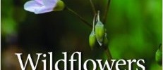 Virginia native plants, native plant books, native grasses, native wildflowers