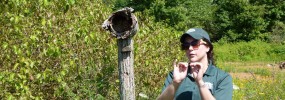 Field trips help us understand and expand!