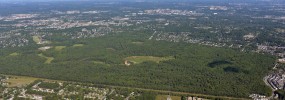 Overhead shot of Huntley Meadows. Photo courtesy of Wetland Solutions, Inc