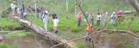 Cedars Appreciation Group at River