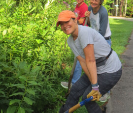 Laurie Houghland, Sally Young and Greg Rippel get ready to dig bog plants. Bob-Cynthia-Long-property-potting-party-Laurie-Houghland-Sally-YOung-Greg-Ripell-bog-site-getting-ready-to-dig-edit