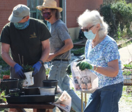 busy-volunteers-potting-party-stonehouse