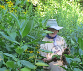 Libbey Oliver amid the tall flowers libby-in-tall-flowers