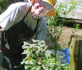 Sue Voight pauses for a moment while working at the Long's property sue-at-bob-cynthia-Long-property-edit