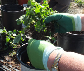 working-hands-stonehouse-2