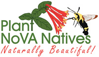 Plant NoVA Natives logo b