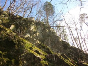 image006