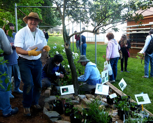 Alan Ford assists customers in choosing the RIGHT native plant!