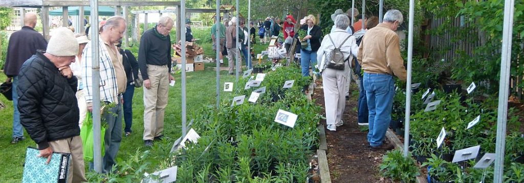 Potowmack Plant Sale Visitors - Photo by Sue Dingwell