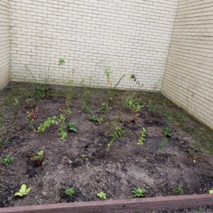 William's Eagle Scout Project