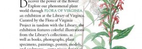Flora project