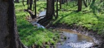 Fraser Preserve