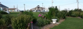 Eastern Shore Demonstration Garden