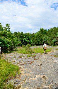 Elongated_limestone_glade_DSC_0363