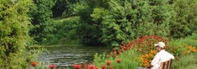Tippecanoe Lake Native Plantings - Ashburn 1