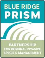 Blue Ridge Prism Logo