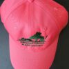 VNPS Logo Ball Cap - Various Colors - Image 5