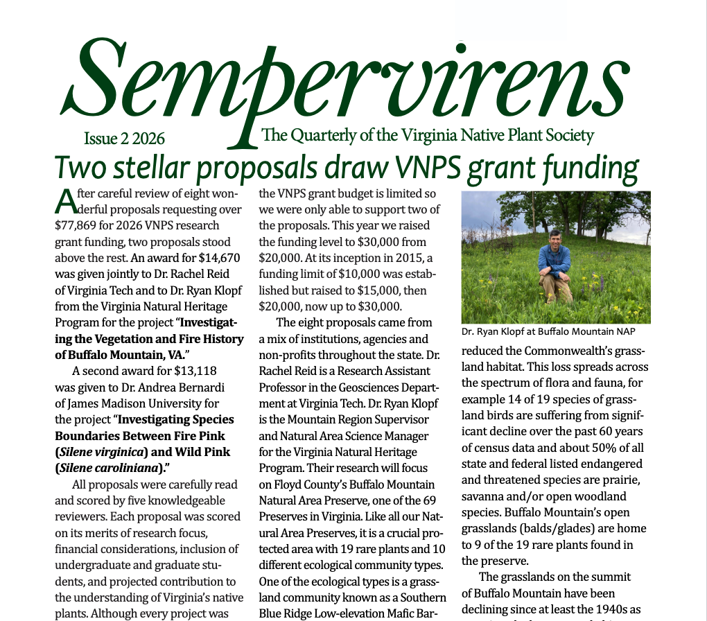 Sempervirens