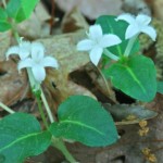 20100512_nwrivernap_g_fleming_004_300dpi