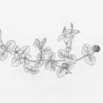 darker-image-for-woy-12