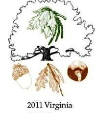 woy2011_brochure_page_2