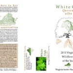 woy2011_brochure_side_2