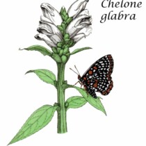 2nd Place- Elena Maza