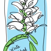 3rd Place - Mary Bockenek