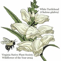 1st Place - Nick Garnhart